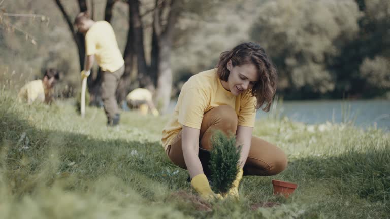 Lawn Watering Services in Meadowbrook, AL