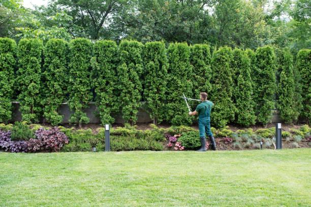 Best Lawn Watering Services  in Meadowbrook, AL